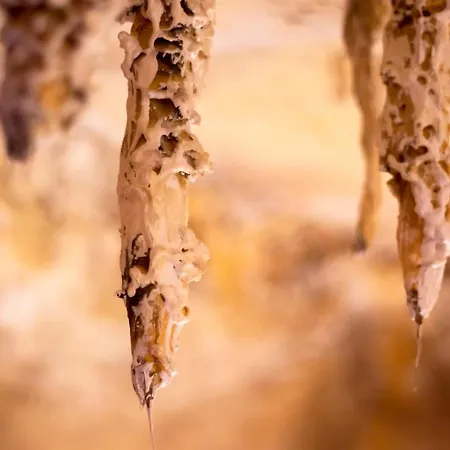 La Grotte Insolite 사흘라 라 카네다